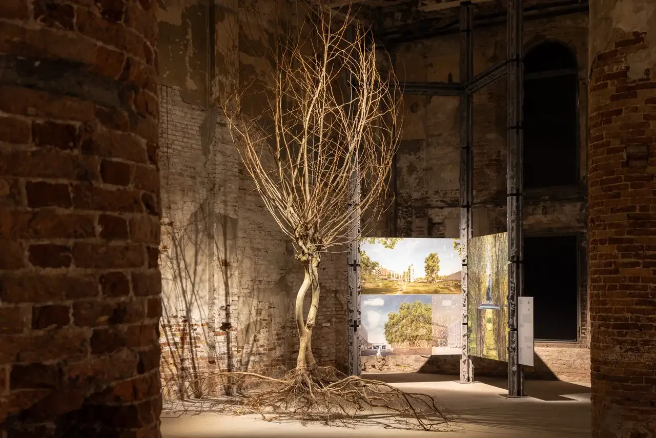 Architecture as Trees, Trees as Architecture_La Biennale di Venezia-Gruppo Saviola.webp