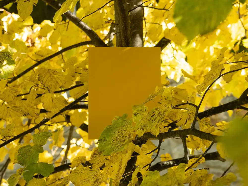 Abet Laminati: colori autunnali e laminati HPL per l'interior design