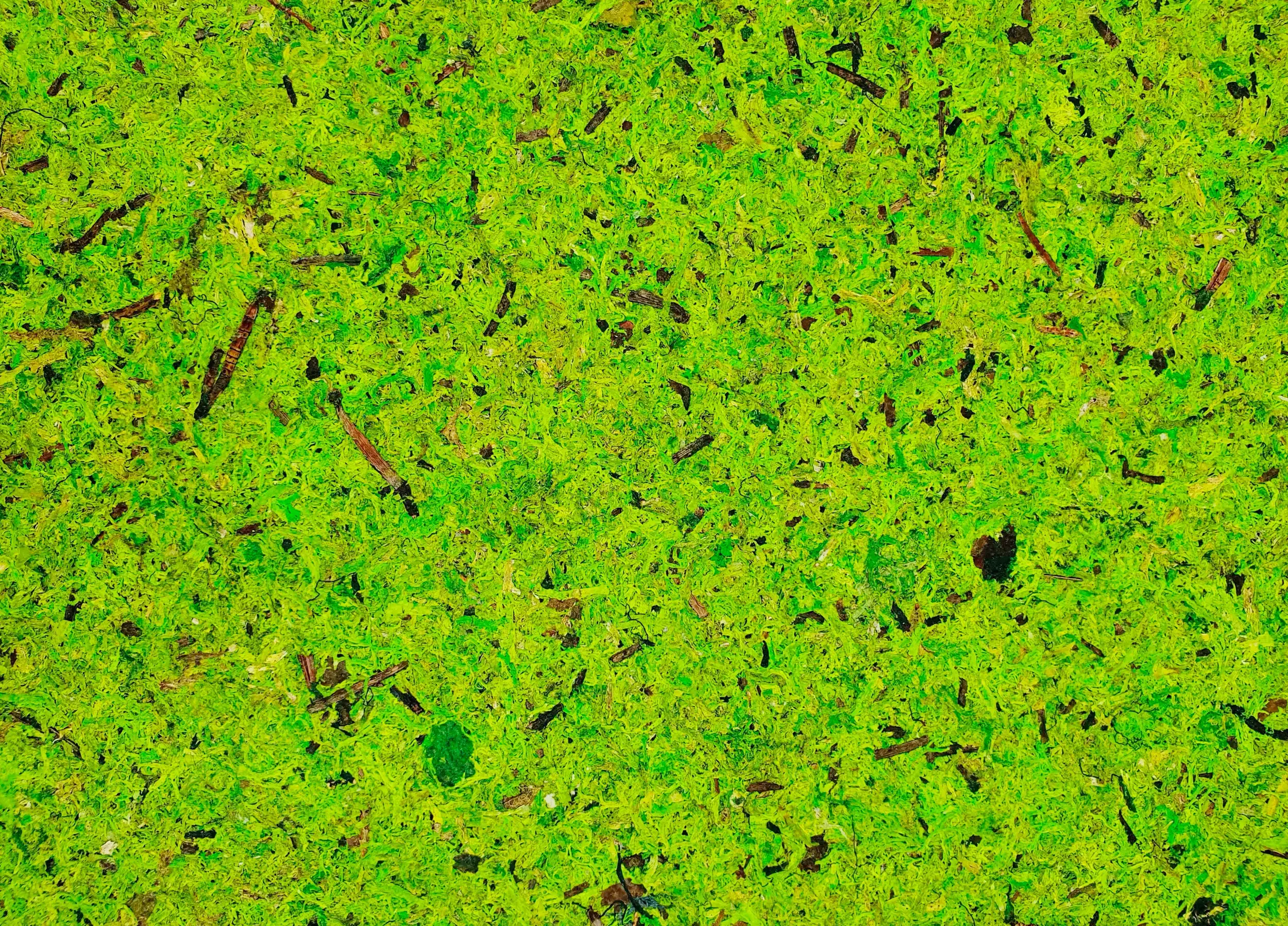 Superfici naturali in muschio su tessuto non tessuto sottile di Ostermann.webp