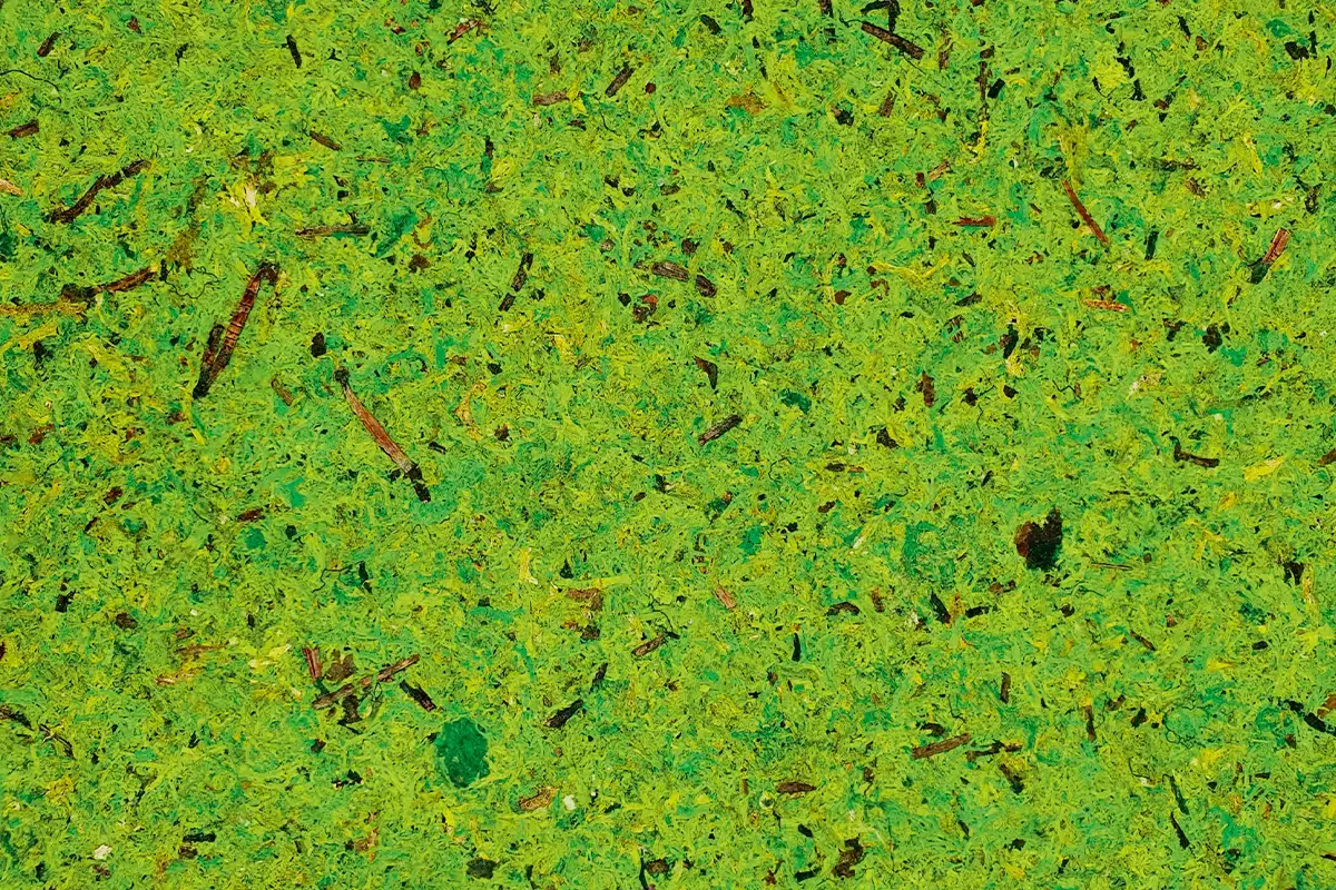 Superfici naturali Mous Hellgrian, muschio verde chiaro su tessuto non tessuto sottile di Ostermann.webp