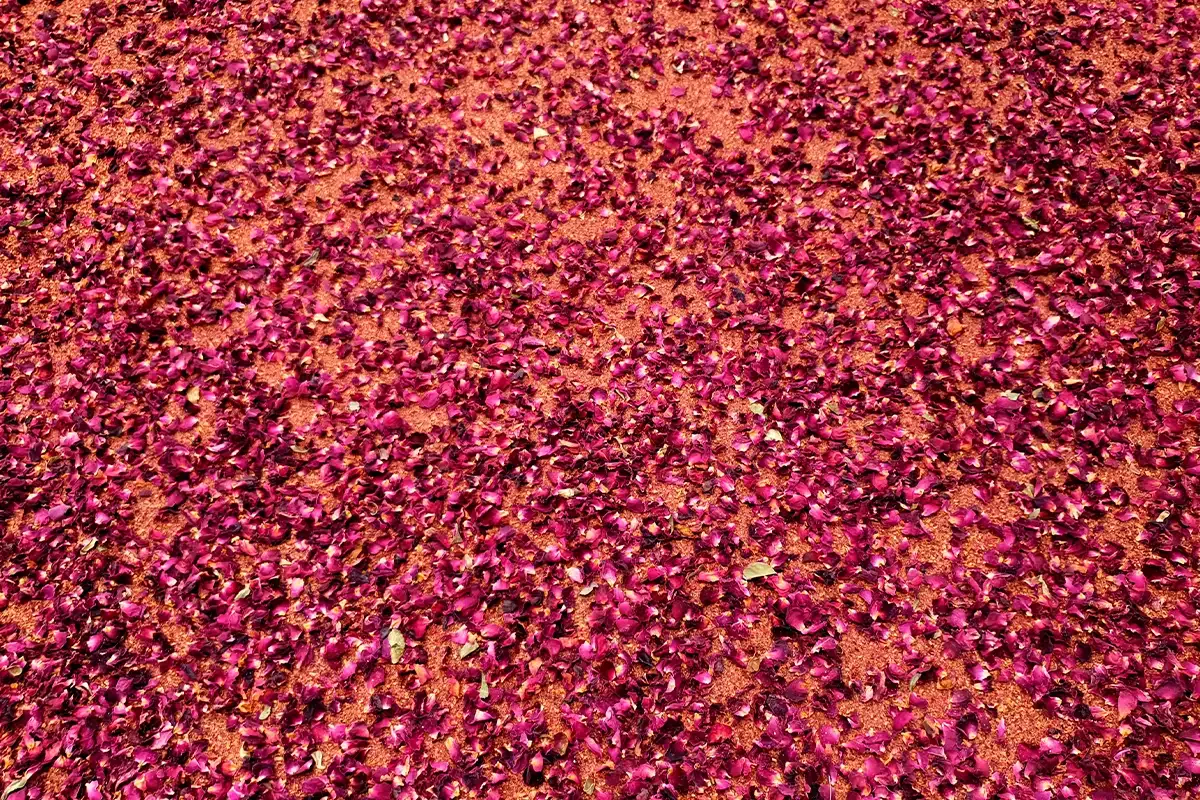 Superfici naturali Roasnbliatn Ostermann petali di rosa su lino naturale per arredi unici.webp